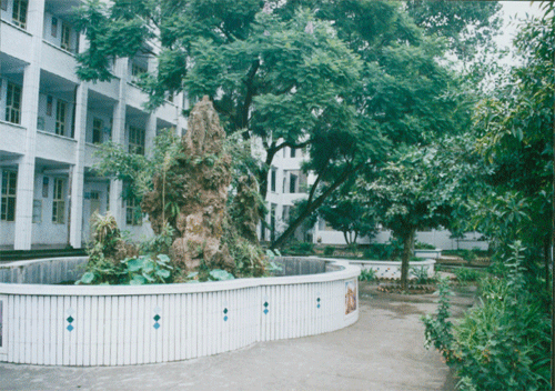 內(nèi)江十三中地址在哪？