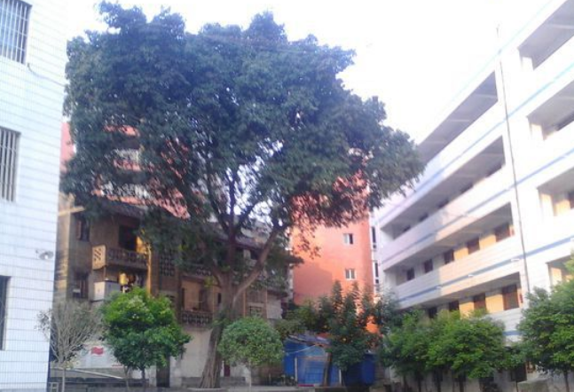 資中縣太平中學(xué)地理位置在哪里？