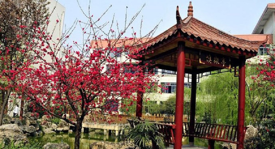 蜀城中學(xué)2020年中考錄取分?jǐn)?shù)線是多少？