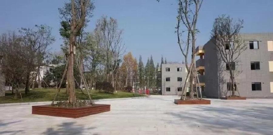 成都綿實外國語學校2019年招生公告公布了嗎？