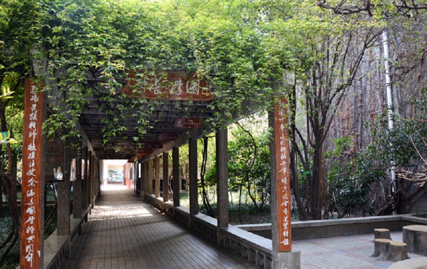 成都玉林中學(xué)網(wǎng)址在是什么？