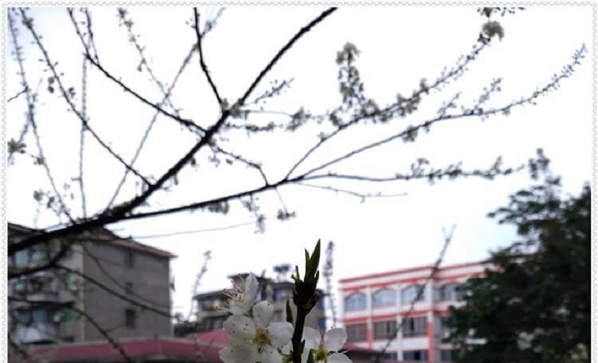 洪雅中學(xué)是一所公辦高中學(xué)嗎？