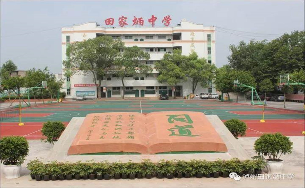 瀘洲市田家炳中學(xué)是公辦學(xué)校嗎？