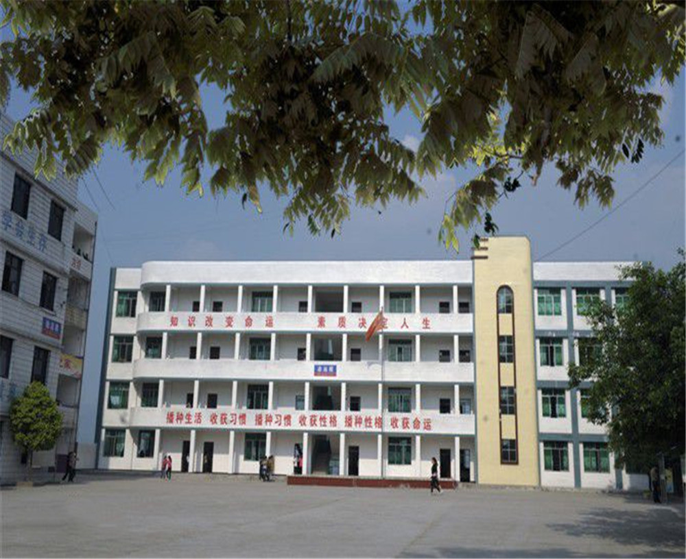臨巴中學的詳細地址在什么地方？