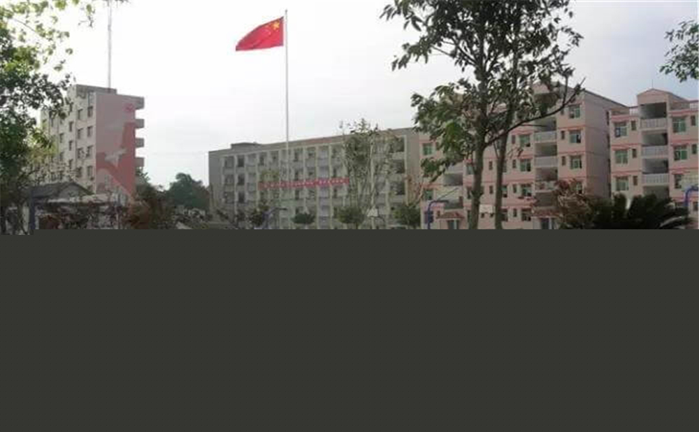 內(nèi)江市第十一中學(xué)學(xué)校招辦電話是多少？