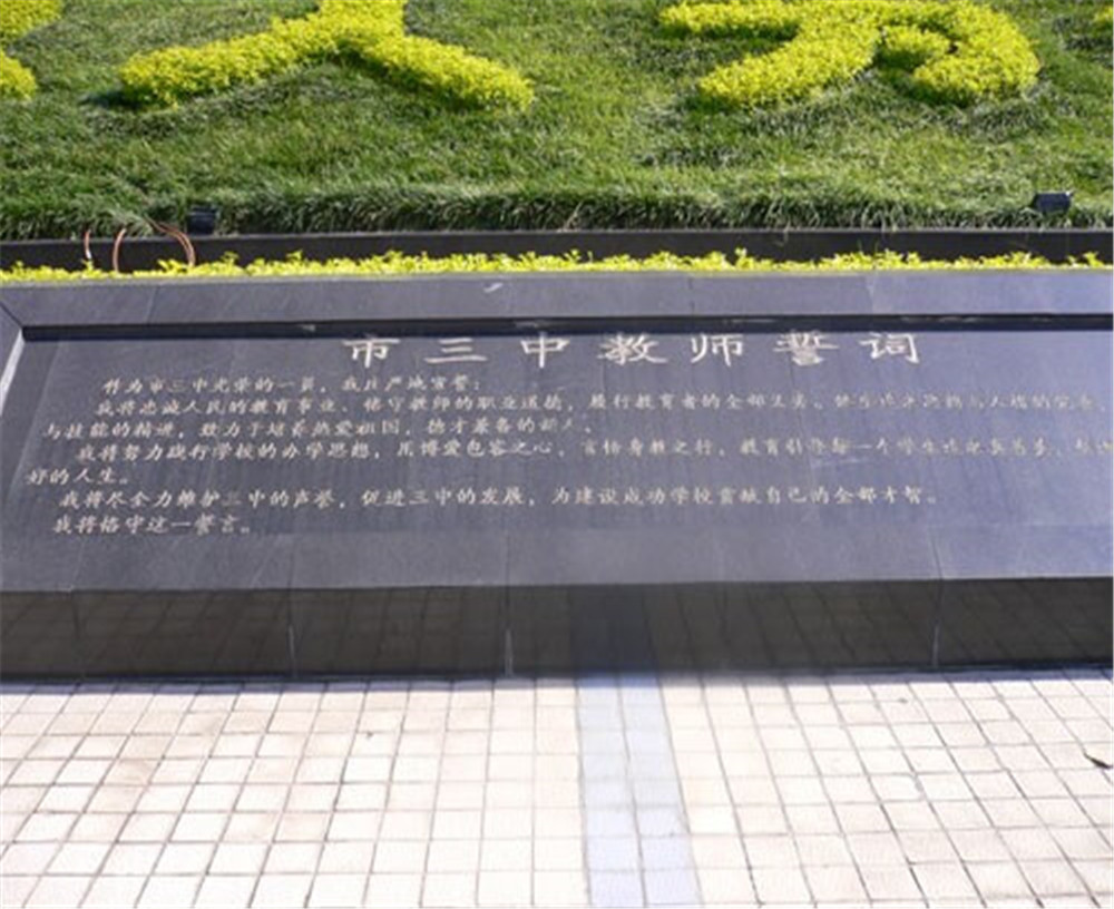 攀枝花市第三高級(jí)中學(xué)校2020年招生計(jì)劃公布了嗎？