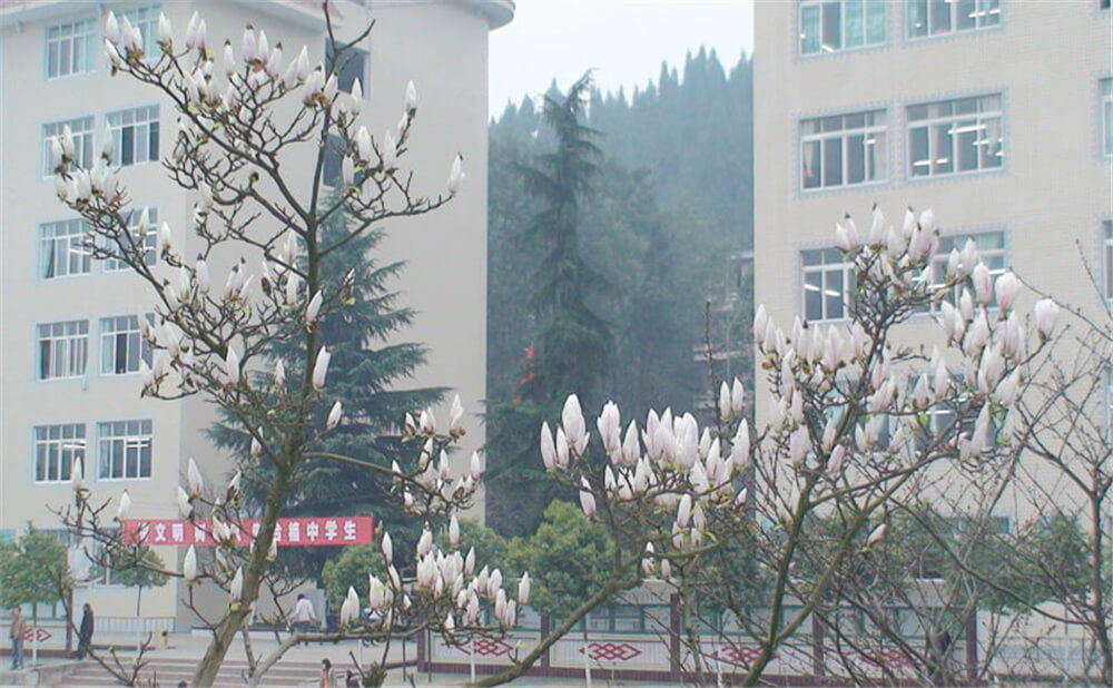 建興中學(xué)學(xué)校詳細(xì)地址在什么地方？