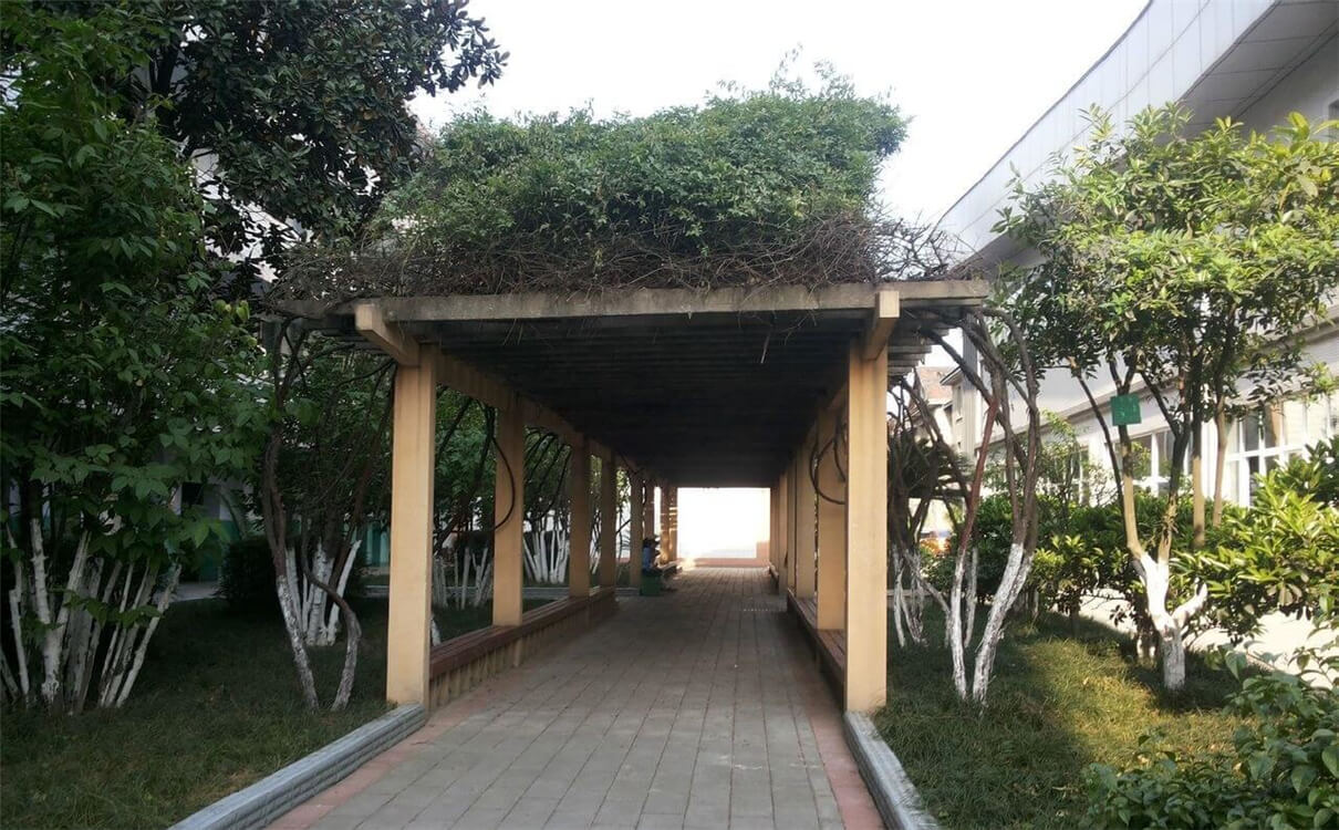 通錦中學(xué)的高中怎么樣？