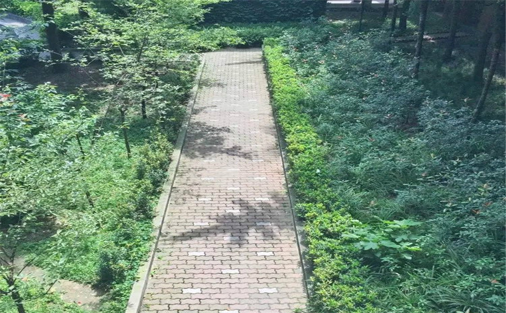 成都華西中學(xué)的高中怎么樣？