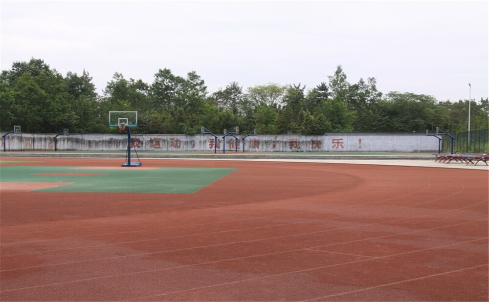 樹德懷遠(yuǎn)中學(xué)2020年招生計(jì)劃在哪兒看？