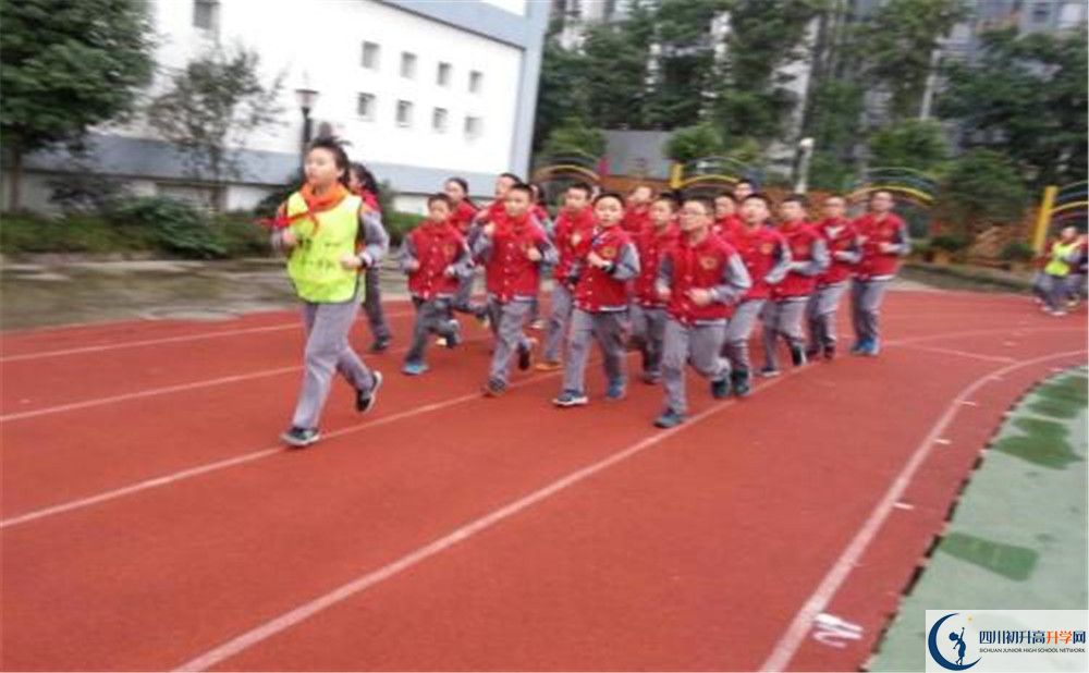 2020成都市泡桐樹(shù)中學(xué)的升學(xué)率有多少？