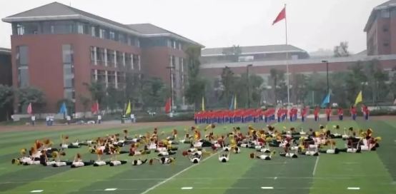 2020年成都七中高新校區(qū)的升學(xué)率有多少？
