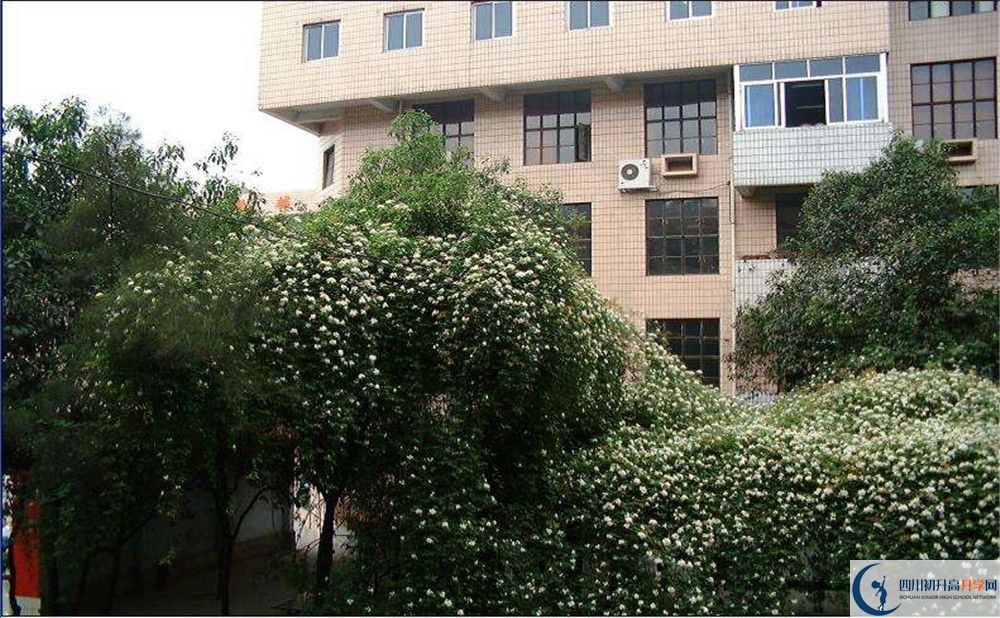 石室聯(lián)合中學(xué)蜀華分校一學(xué)期的學(xué)費(fèi)是多少？