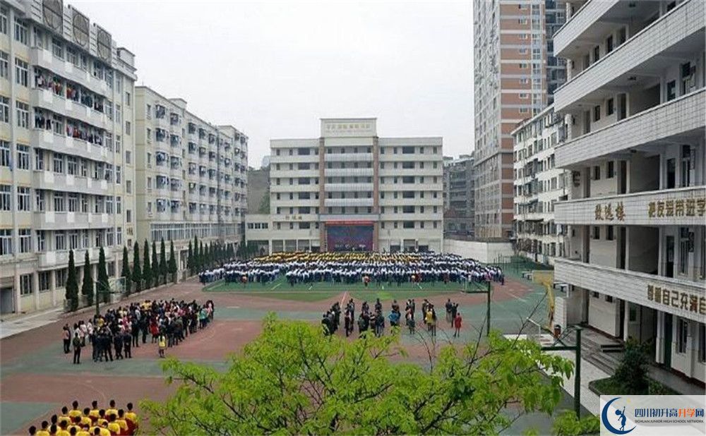 陽安中學(xué)的老師好不好？
