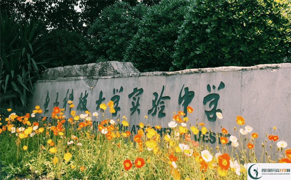 上電子科技大學(xué)實(shí)驗(yàn)中學(xué)的分?jǐn)?shù)線是多少分？