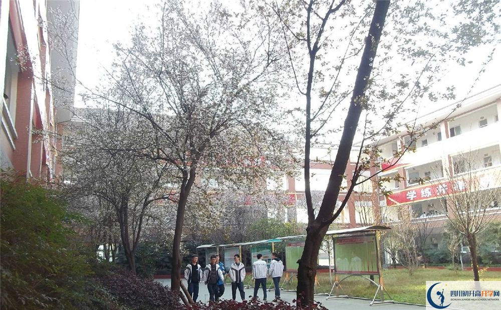 成都三十六中的分?jǐn)?shù)線大概是多少分？
