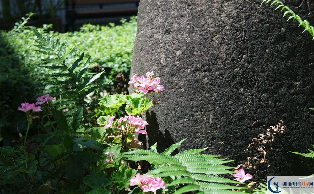 石室聯(lián)合中學(xué)蜀華分校住宿費(fèi)用是多少？