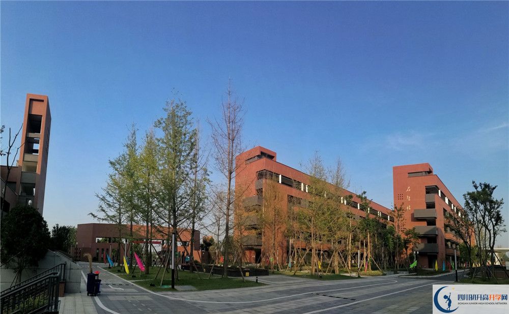 電子科技大學實驗中學高一多久放一次假？