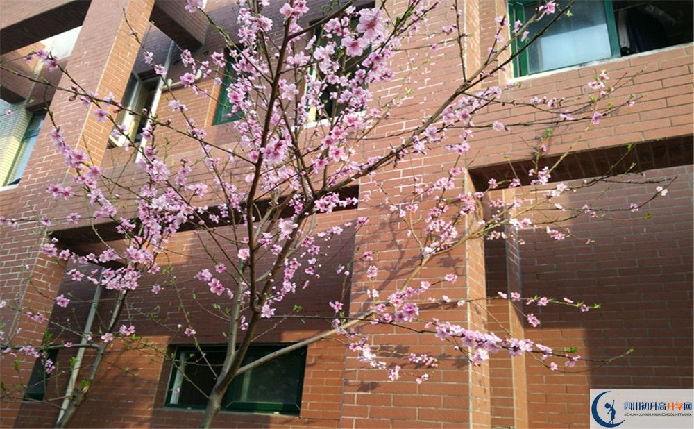 都江堰育才學校2020清華北大錄取學生多少？