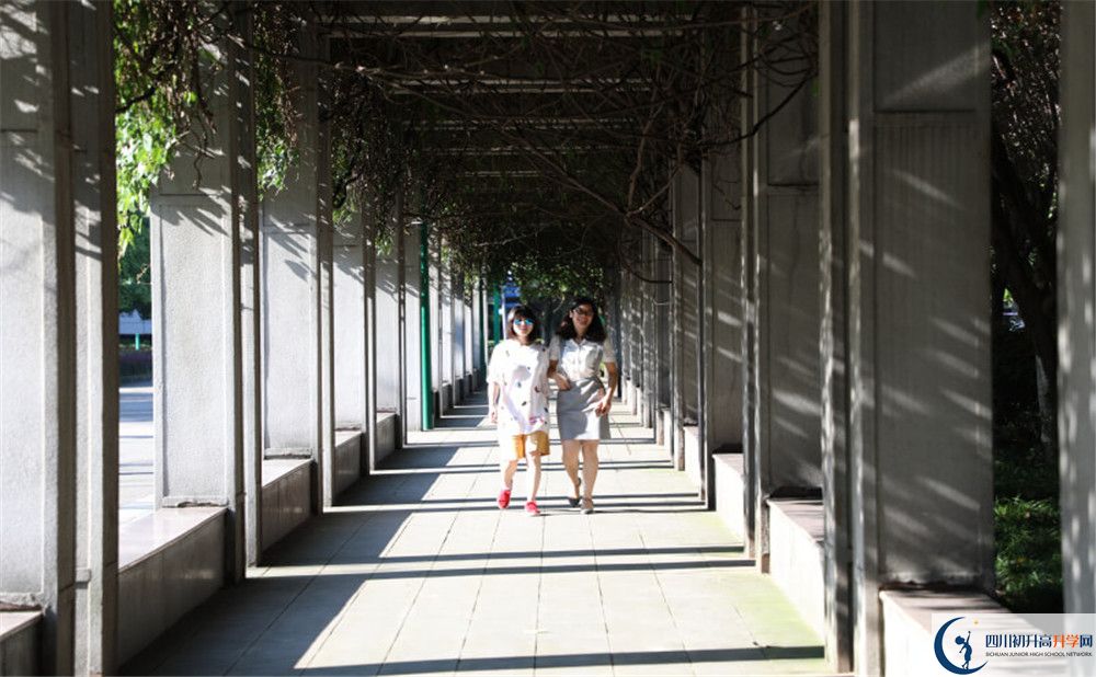 成都市龍泉中學(xué)2020年清華北大人數(shù)是多少？