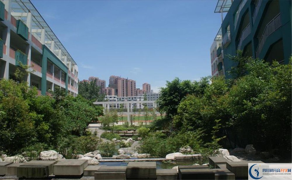 四川師范大學(xué)實(shí)驗(yàn)外國語學(xué)校2020年保送清華北大的人數(shù)？