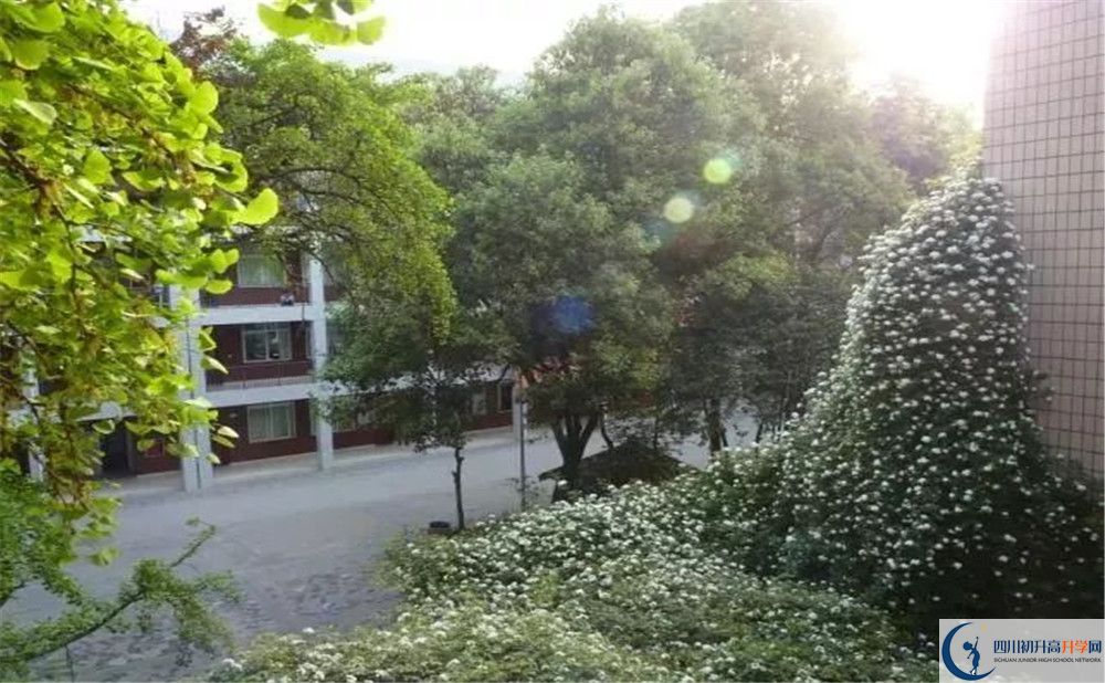 成都市石室聯(lián)中蜀華分校2020年保送清華北大的人數(shù)是多少？