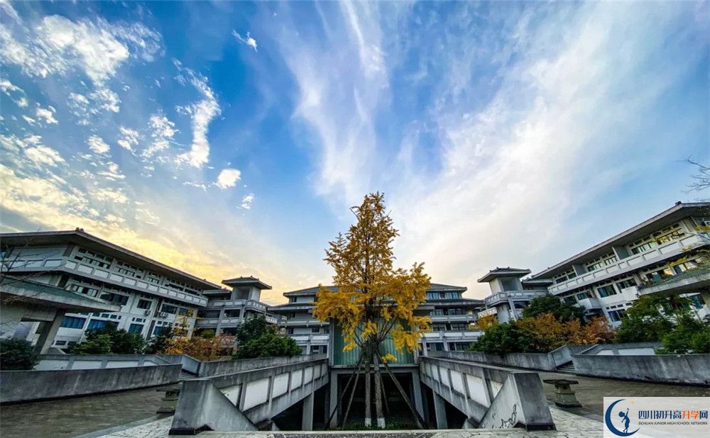 電子科技大學(xué)實驗中學(xué)招生考試科目有哪些？