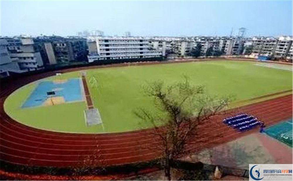 成都實外新都五龍山學校招生考試科目有哪些？