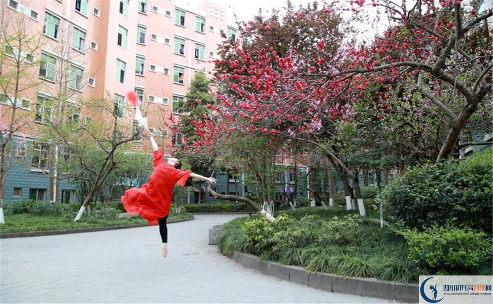 簡(jiǎn)陽中學(xué)2020年保送清華北大的人數(shù)是多少？