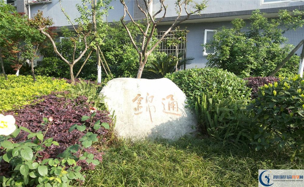 2020通錦中學(xué)高考重點(diǎn)大學(xué)升學(xué)率是多少？