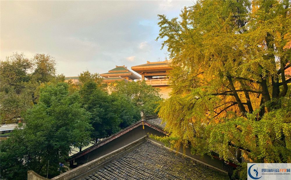 成都石室中學(xué)位置在哪里？