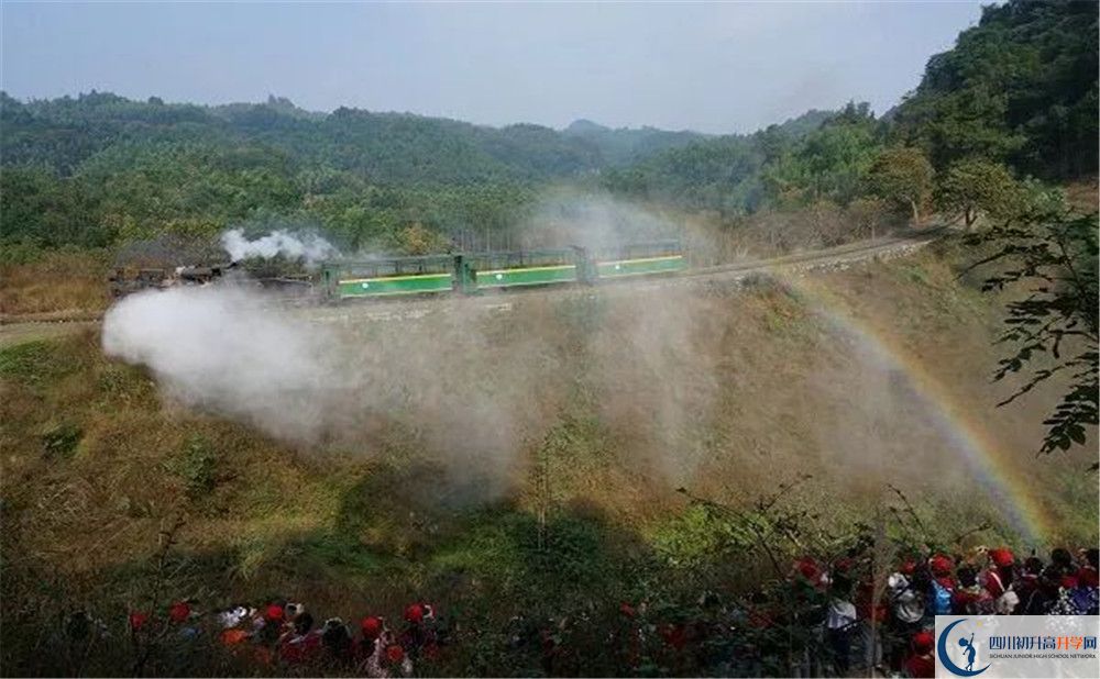 成都市泡桐樹中學(xué)國際班費(fèi)用是多少？