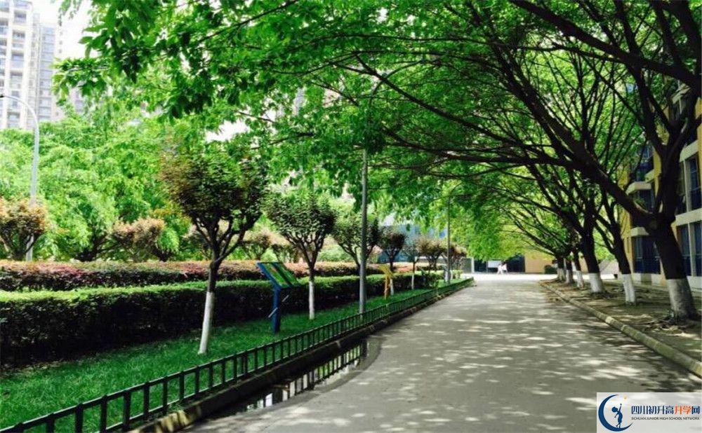 2020成都七中實驗學(xué)校國際部入學(xué)多少分？