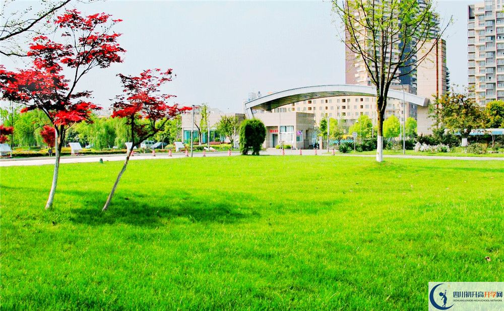 成都七中實驗學校2020屆高三期末試卷在哪里看？