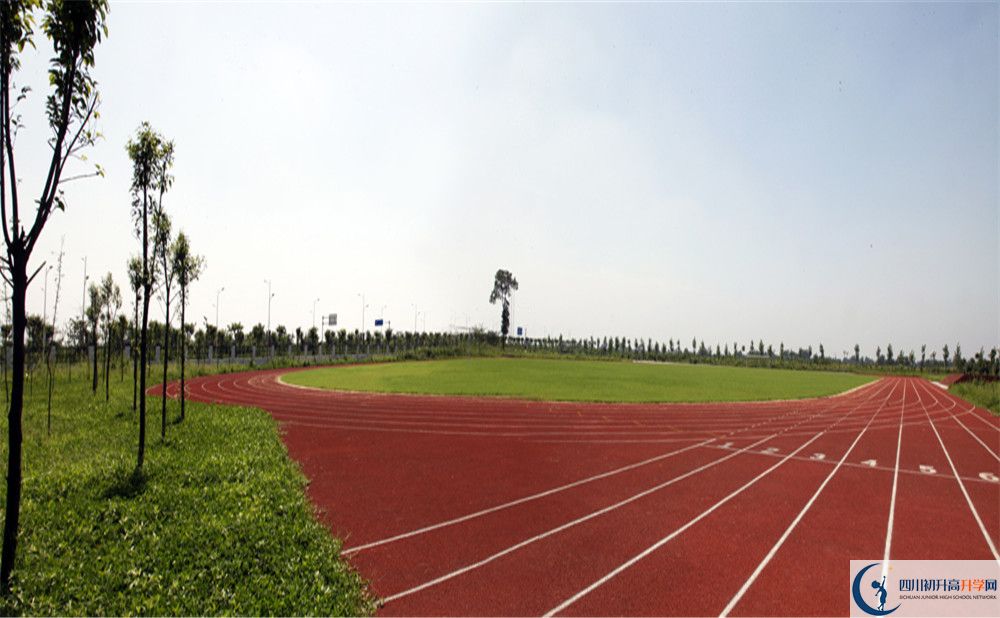 2020川師大附屬第三實(shí)驗(yàn)中學(xué)高考重點(diǎn)大學(xué)升學(xué)率是多少？