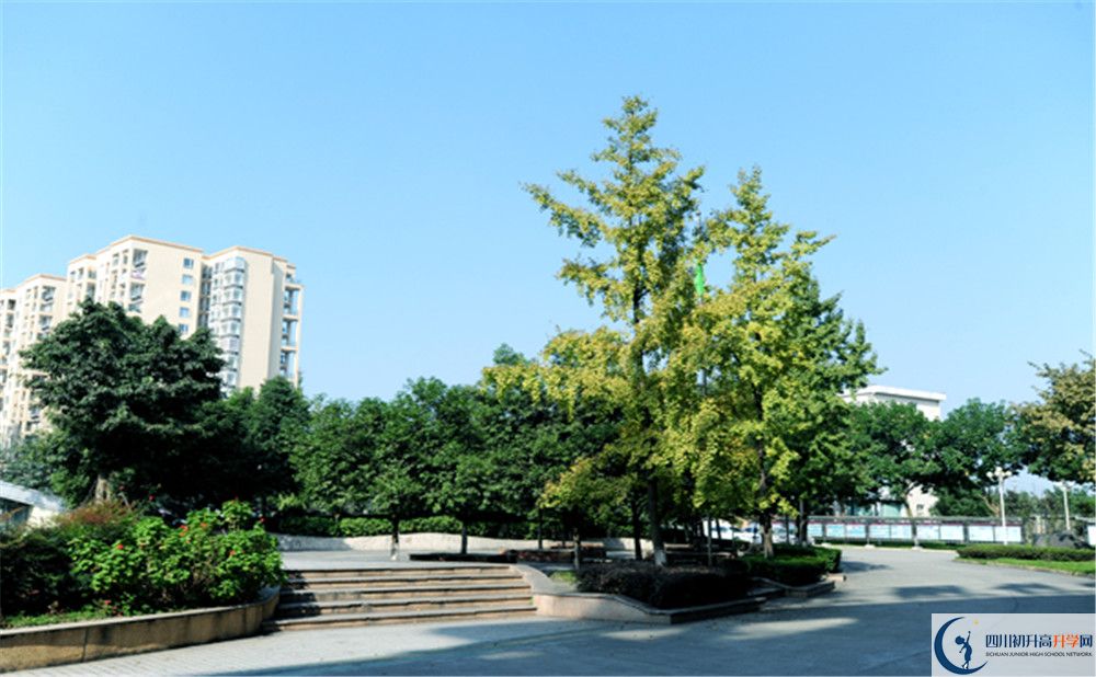2020成都棠湖外國(guó)語(yǔ)學(xué)校期末試卷數(shù)學(xué)在哪里看？