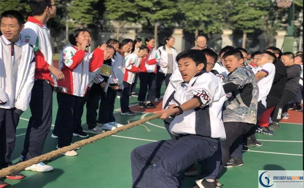 成都樹(shù)德中學(xué)面向全國(guó)招生嗎？