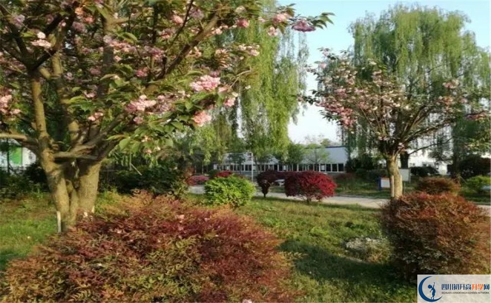 成都樹德中學(xué)光華校區(qū)實(shí)驗(yàn)班學(xué)費(fèi)貴嗎？