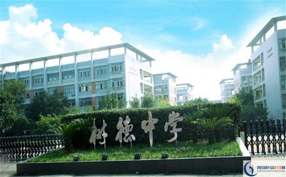 成都樹德中學(xué)光華校區(qū)補(bǔ)課嗎？
