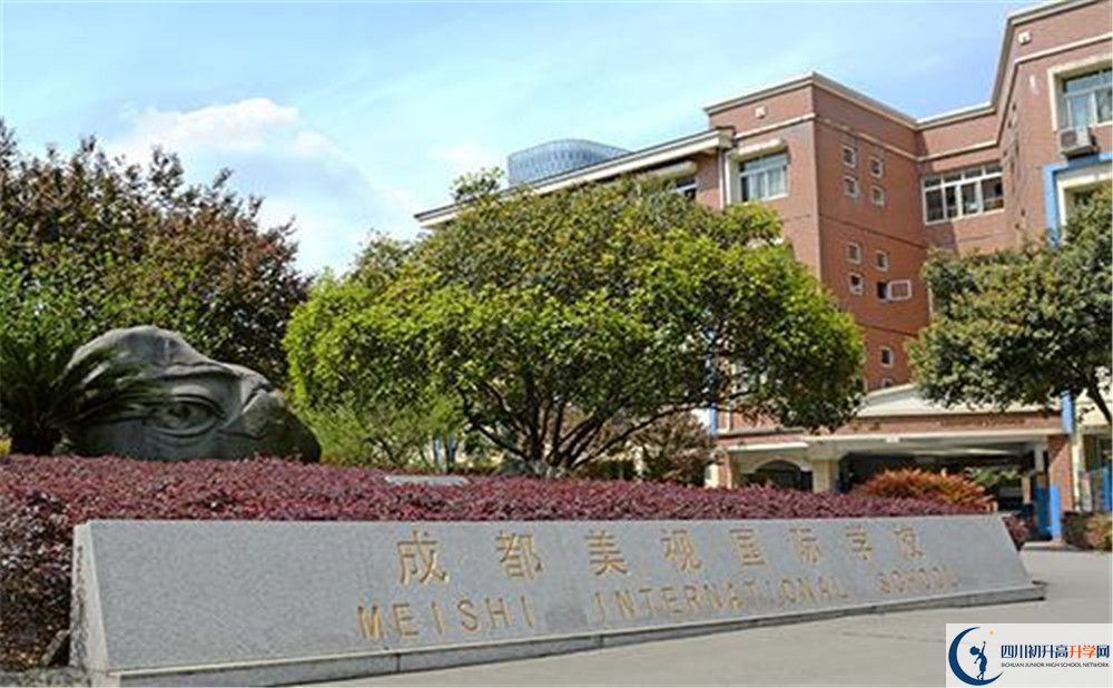 成都美視國際學校補課嗎？