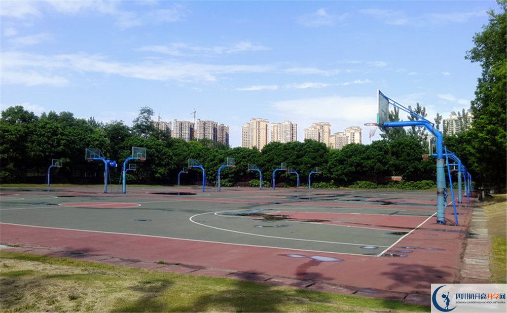 成都實(shí)驗(yàn)外國(guó)語(yǔ)學(xué)校（西區(qū)）補(bǔ)課嗎？