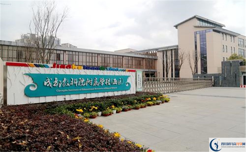 成都教科院附屬學校2020年高考人數(shù)是多少？
