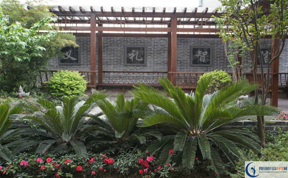 成都八中高三診斷考試時(shí)間怎么安排？