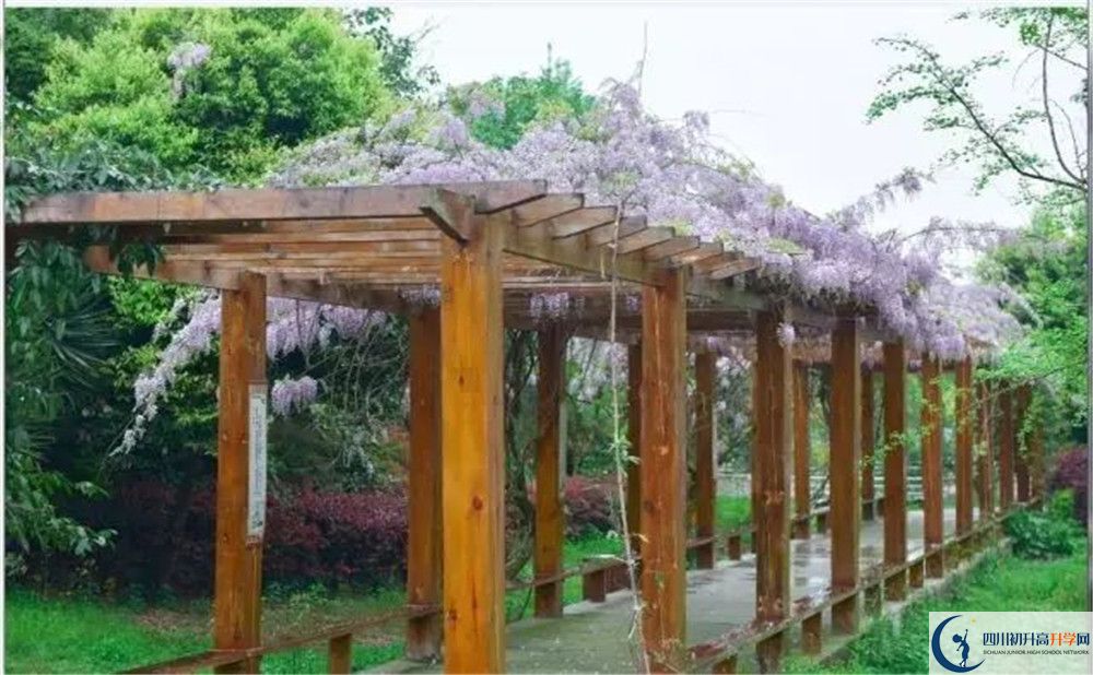 廣安花橋中學(xué)高三診斷考試時間怎么安排？