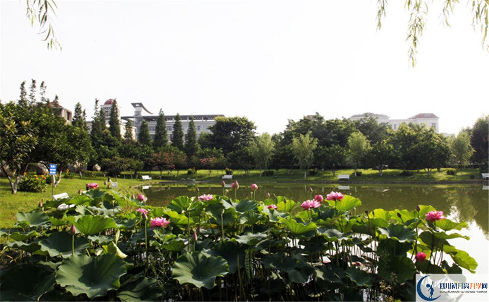 石永中學2020年清華北大人數(shù)怎么樣？