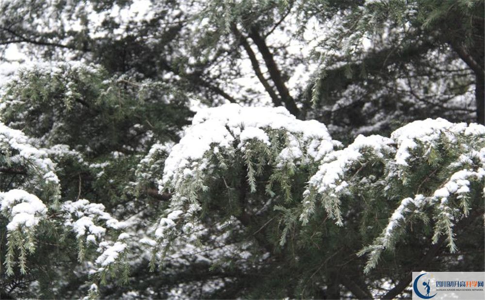 樹德博瑞實(shí)驗(yàn)學(xué)校電話號碼是多少？
