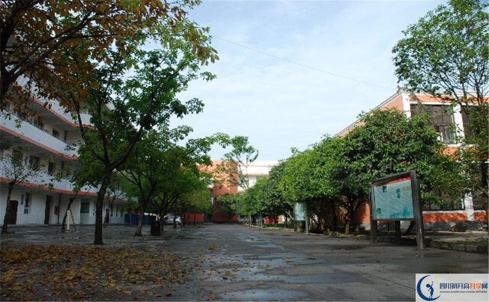 大邑中學(xué)2020年是國重嗎？