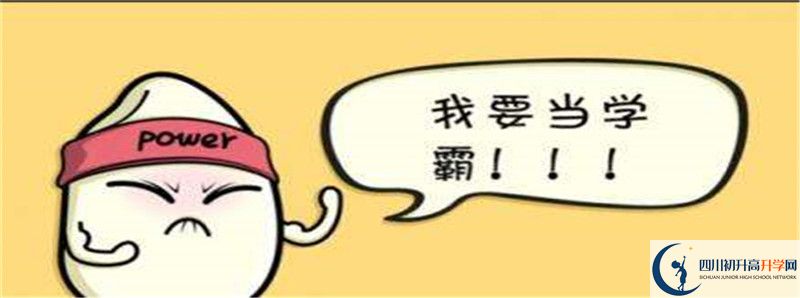 北二外成都附中2021清華北大錄取學(xué)生多少？